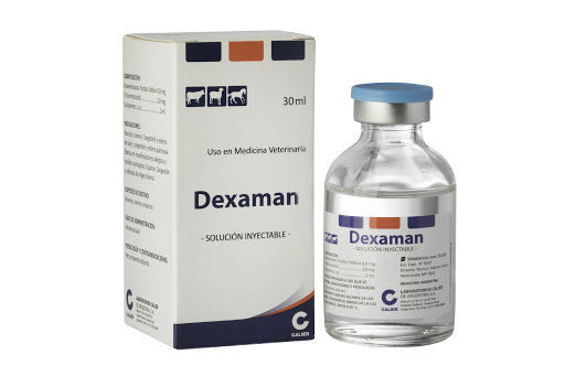 Dexaman 30ml (CALIER), anti-inflammatory, calier, camel, corticosteroid, dexa, dexaman, endurance, energy, horse, pain reliever, power, speed, stamina