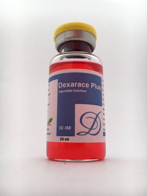 Buy Dexarace Plus 20ml Online, dexarace plus 20ml, dexarace plus, Anti-inflammatories & Pain Relievers (مسكن للآلام), Dexa ( ديكساميثازون), Endurance (قدرة التحمل), Energy & Power (طاقة), Low dose (Less than 0.1% or 1mg/ml), Most Popular (مهم), most selling - Middle East, Percentage, Supplemented or Additives, With Stimulating Aminos, anti-inflammatory, antiinflammatory, camel, dexa, dexarace, endurance, energy, Glucocorticoid, horse, pain reliever, power, speed, stimulant