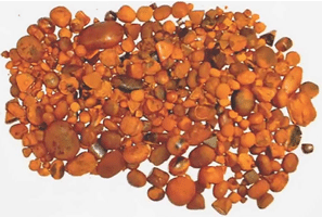 Buy Cow Ox Gallstones available for sale,Buy Your Cow/ Ox Gallstones available for sale