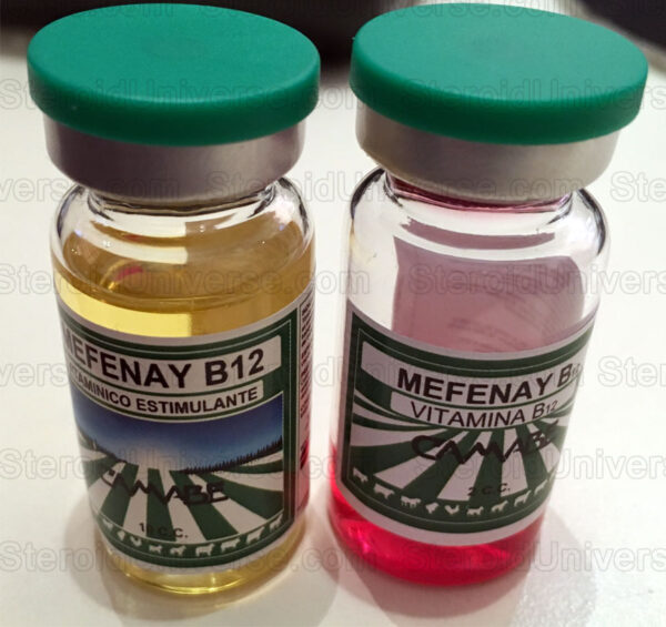 Mefenay B12 Injection, Mefenay B12 10ml, Mefenay B12 for horses, b12, camel, endurance, energy, horse, mefenay, power, pre, race, racing, sprint, vitamin