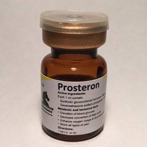 Prosteron 5ml, Prosteron Black Horse 5ml, anti-inflammatory, endurance, Equine anti-inflammatory, oxygen, pain block, pain reliever, prosteron, Prosteron 5ml, stamina