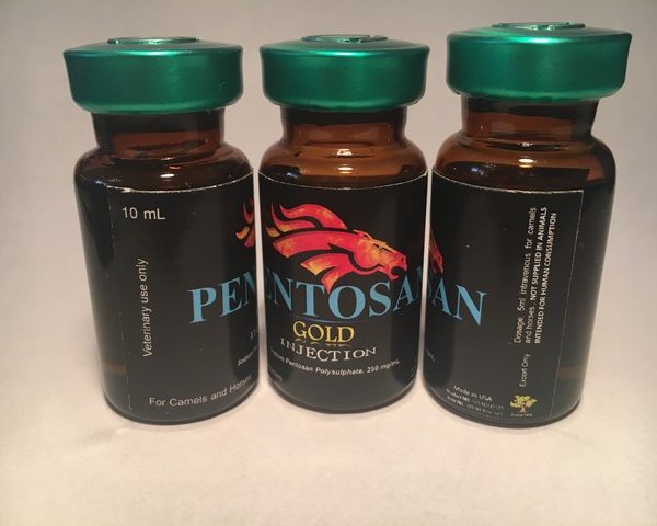 Pentosan gold 10ml, antiinflammatory, Arthritis, gold, inflammatory, joints, pain reliever, pentosan, pentosan gold