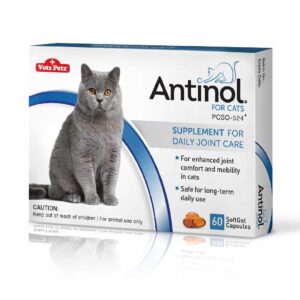 Antinol, Natural Super Potent Joint Supplement for Cats, Super Potent Joint Supplement, Joint Supplement, antinol for sale , best flea medicine for cats without vet prescription, vet-recommended flea treatment for cats, best flea and tick treatment for cats, best flea treatment for outdoor cats, best flea treatment for kittens, best topical flea treatment for cats, best tick treatment for cats, most common cat breed in us