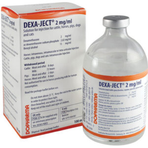 Dexa-ject 100ml, Dexa-ject solution for injection, Dexaject 100ml injection, Dexa-ject 2 mg/ml Injection 100ml, Dexa-Ject, DexaJect for cattles, DEXA JECT veterinary medicine, DexaJect for Animal Use, Dexa-ject (Dexamethasone) 2mg/ml Injection 100ml, Dexa ject 100ml price, Dexa ject 100ml side effects, Dexa ject 100ml dosage, dexaject inj uses, dexafort, dexamethasone, veterinary dosage cattle, dexamethasone dog dose mg/kg, engemycin,