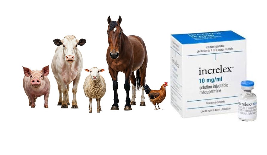 Increlex 10mg for Animal Use, mecasermin, Increlex , Increlex injection,